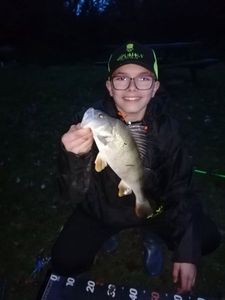 European Perch