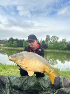 Mirror Carp