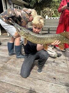 Northern Pike