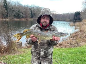 Northern Pike