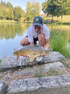 Mirror Carp