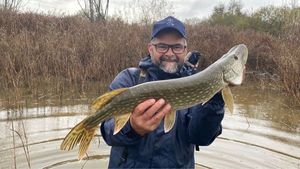 Northern Pike