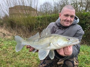 Zander