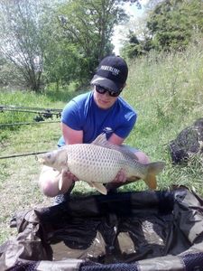 Common Carp