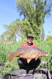 Common Carp