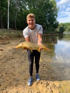 Common Carp