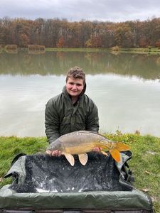Mirror Carp