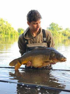 Mirror Carp