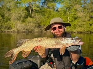 Northern Pike