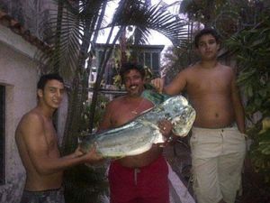 Dolphinfish