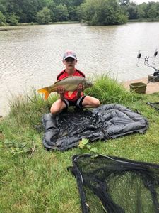 Mirror Carp