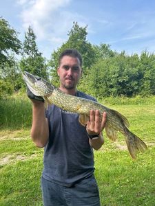 Northern Pike