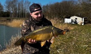 Mirror Carp