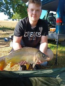 Mirror Carp