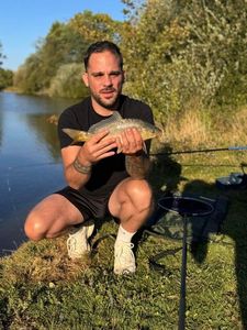 Mirror Carp