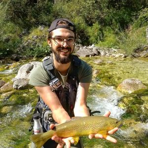 Marble Trout