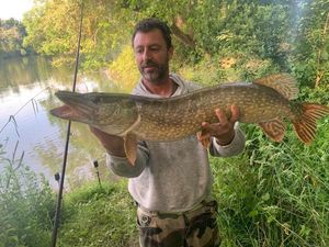 Northern Pike