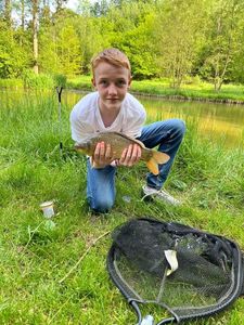 Common Carp