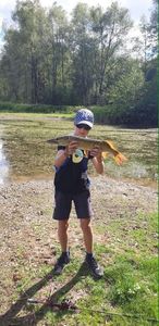 Northern Pike