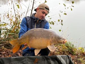 Mirror Carp