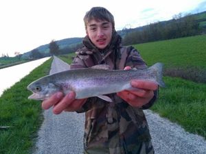 Rainbow Trout