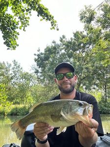 Largemouth Bass