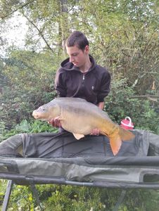 Mirror Carp