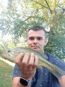 Smallmouth Bass