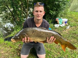 Common Carp