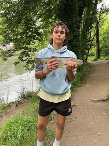Chub
