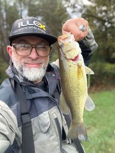 Smallmouth Bass