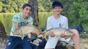 Common Carp
