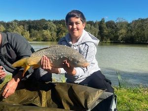 Common Carp