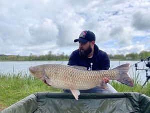 Grass Carp