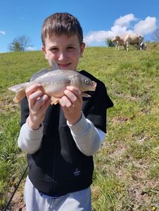 Mirror Carp