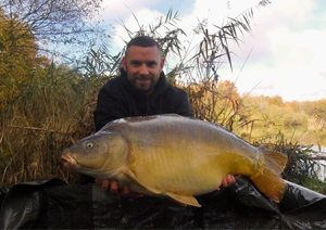 Mirror Carp