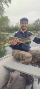 Northern Pike