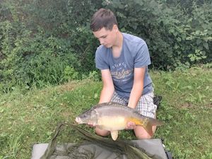 Mirror Carp