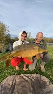 Mirror Carp