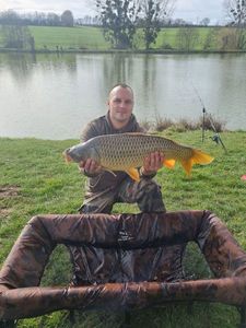 Common Carp