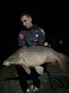 Mirror Carp