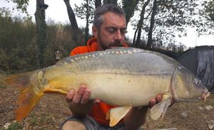 Mirror Carp