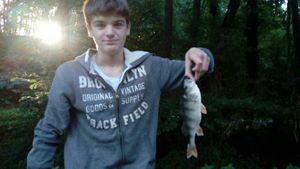 European Perch