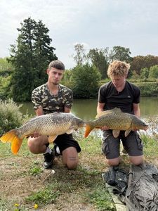 Common Carp