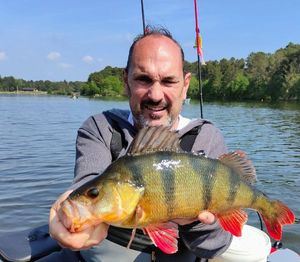 European Perch