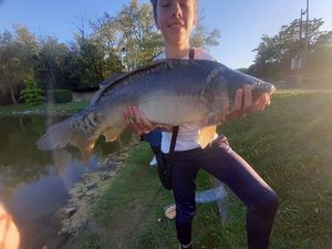 Mirror Carp