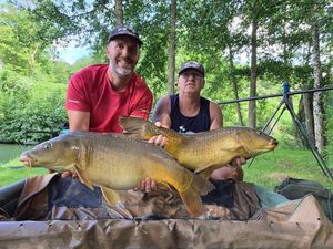 Common Carp