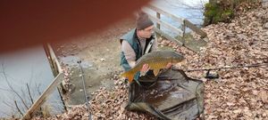 Mirror Carp