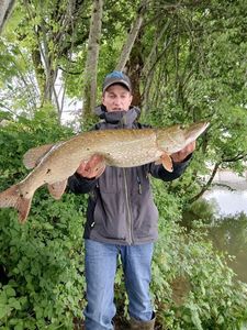 Northern Pike