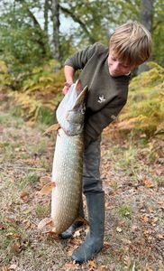 Northern Pike